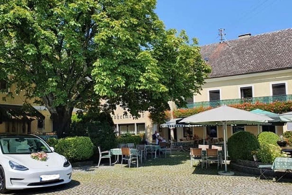 Kastanienbäume im Sommer